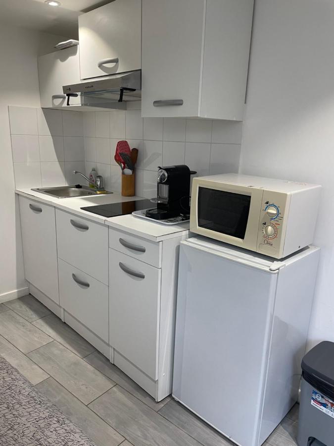 Studio Avec Mezzanine Apartment Joinville-le-Pont Bagian luar foto